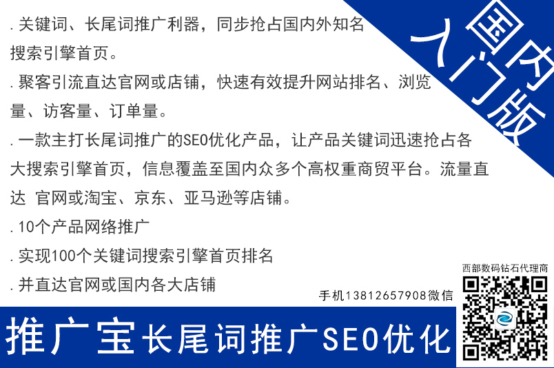 推廣寶seo網絡長尾關鍵詞推廣 國內入門款